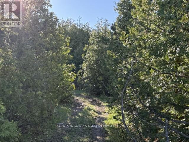 N/a Pratts Marina Road, Selwyn, Ontario  K0L 2H0 - Photo 3 - X13135072