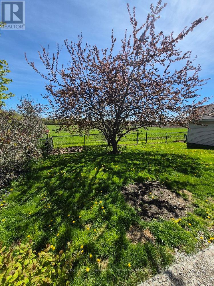 51 Applewood Drive, Brighton, Ontario  K0K 1H0 - Photo 38 - X12754924