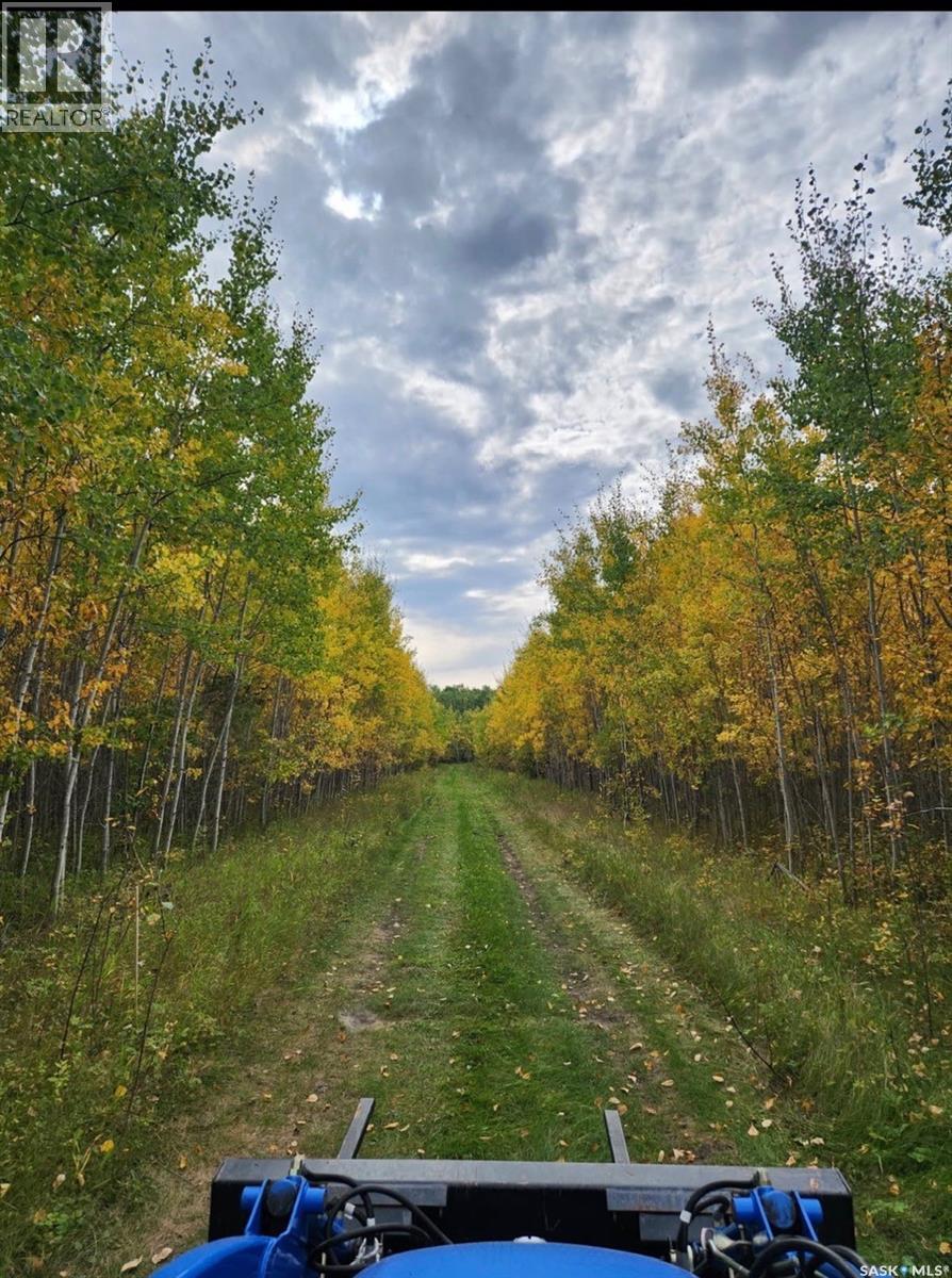 Lot 4 Poplar Grove Estates, Meadow Lake Rm No.588, Saskatchewan  S9X 1Y7 - Photo 3 - SK031728