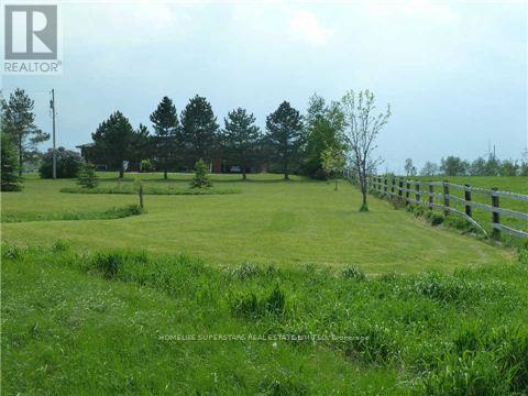 157304 Highway-10 Highway, Melancthon, Ontario  L9V 2G7 - Photo 16 - X13135112