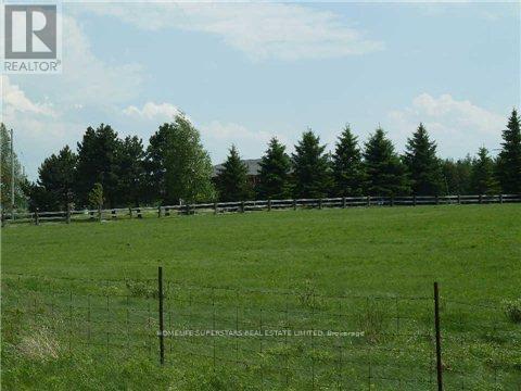 157304 Highway-10 Highway, Melancthon, Ontario  L9V 2G7 - Photo 17 - X13135112