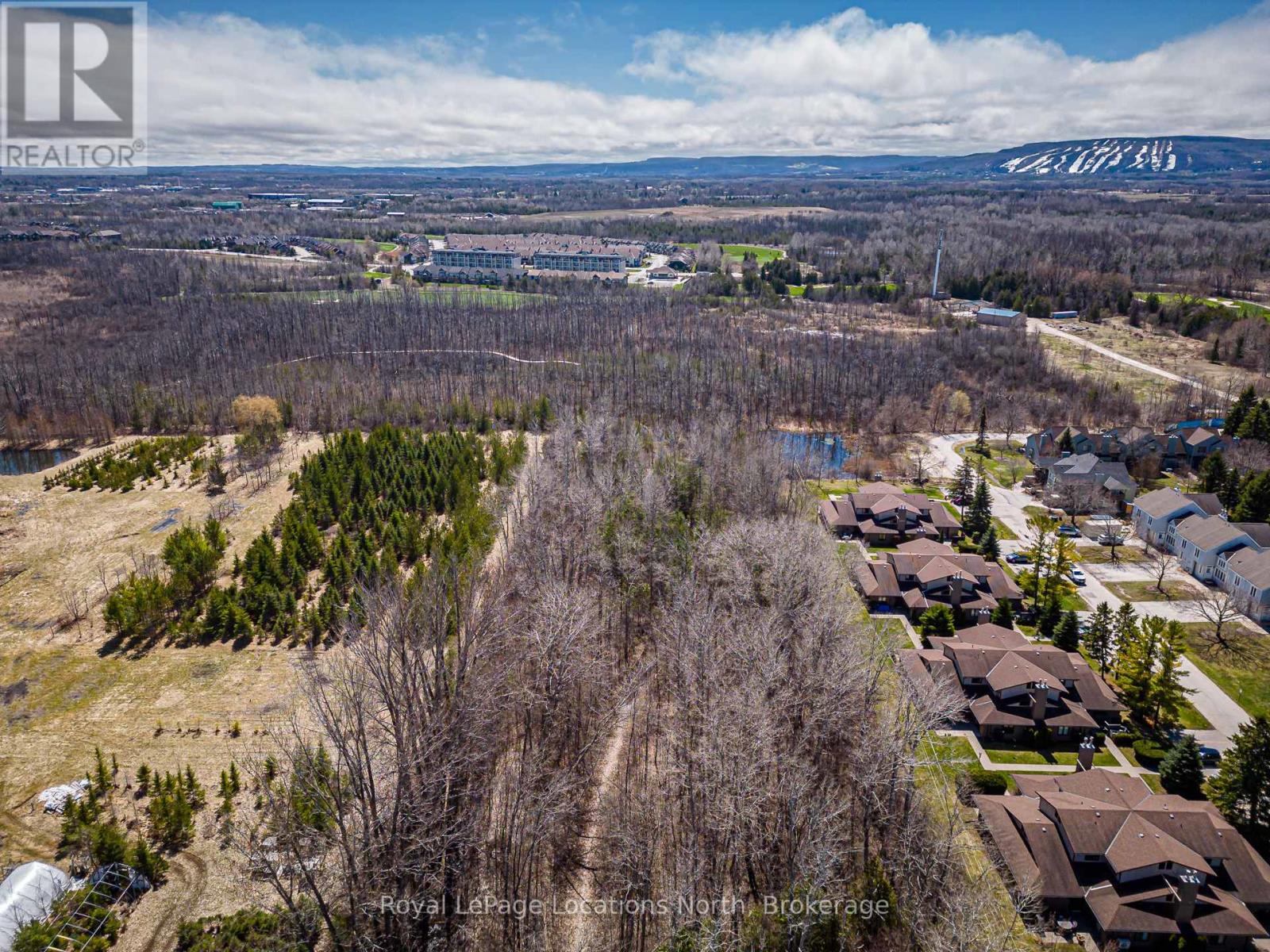 11589 26 Highway, Collingwood, Ontario  L9Y 5E7 - Photo 14 - S13135444