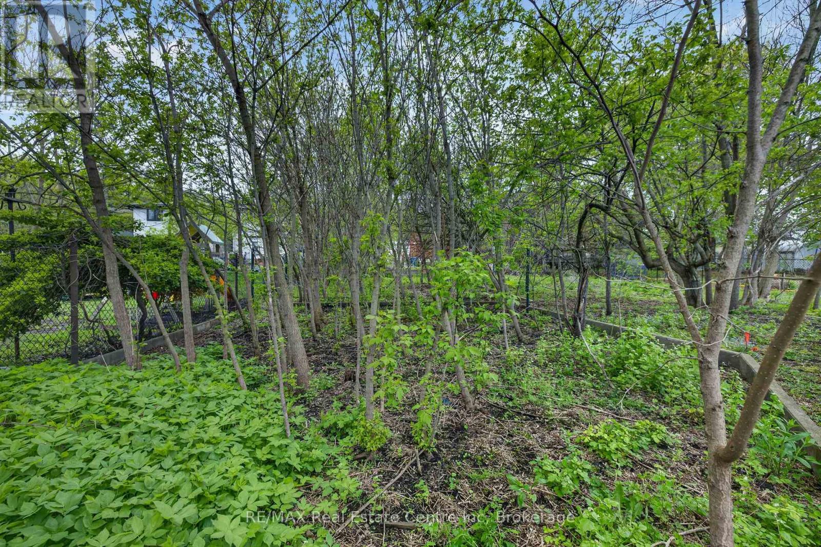 121 Elizabeth Street, Guelph, Ontario  N1E 2X4 - Photo 18 - X13135270