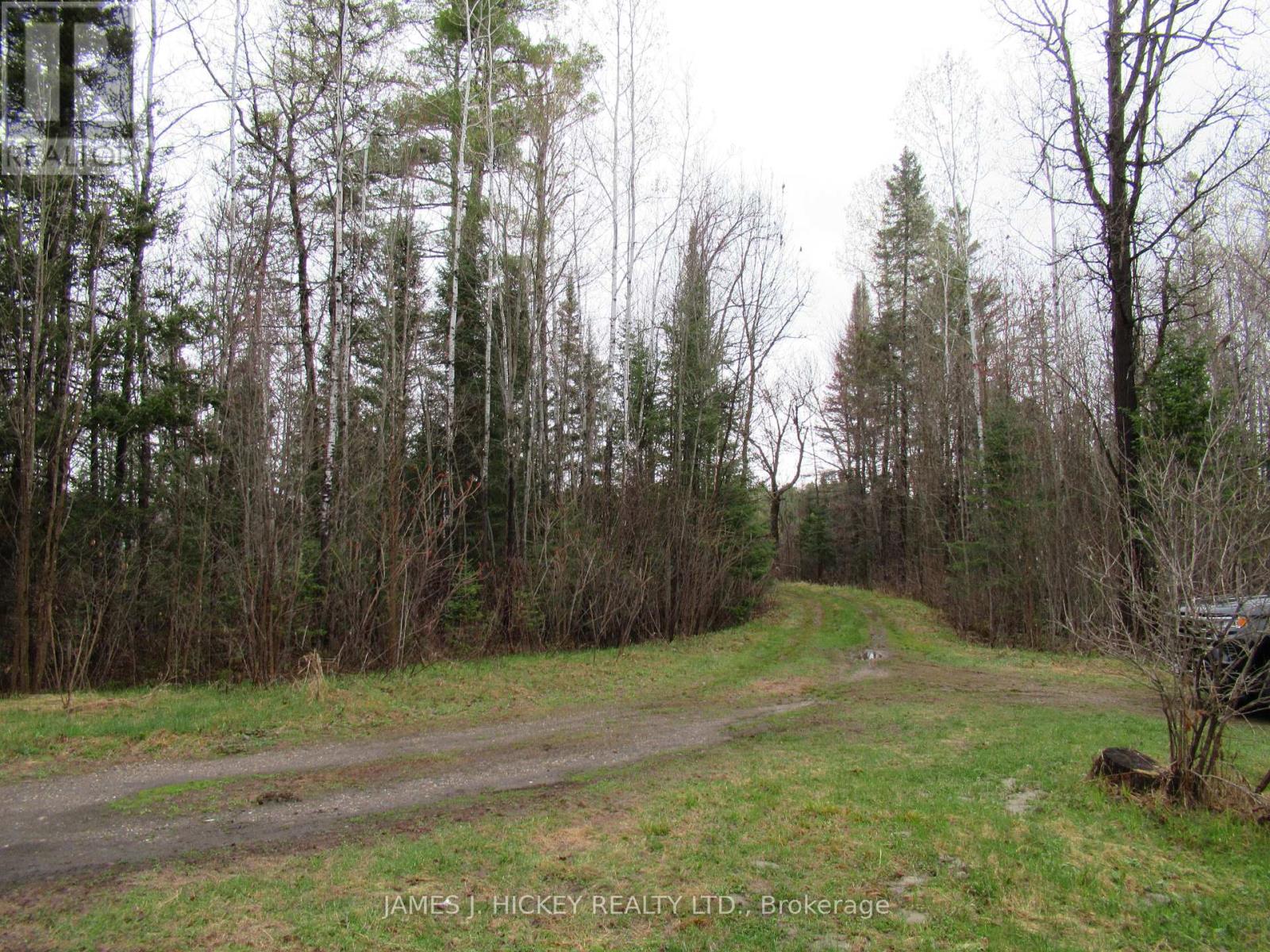 38859 Hwy 17 Highway, Head, Ontario  K0J 2B0 - Photo 3 - X13135374
