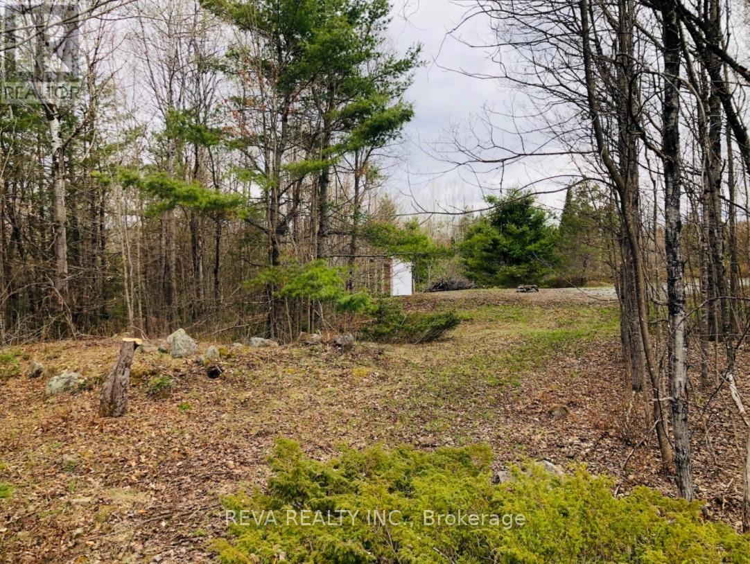 384 Matawatchan Road, Addington Highlands, Ontario  K0H 1K0 - Photo 11 - X13120090