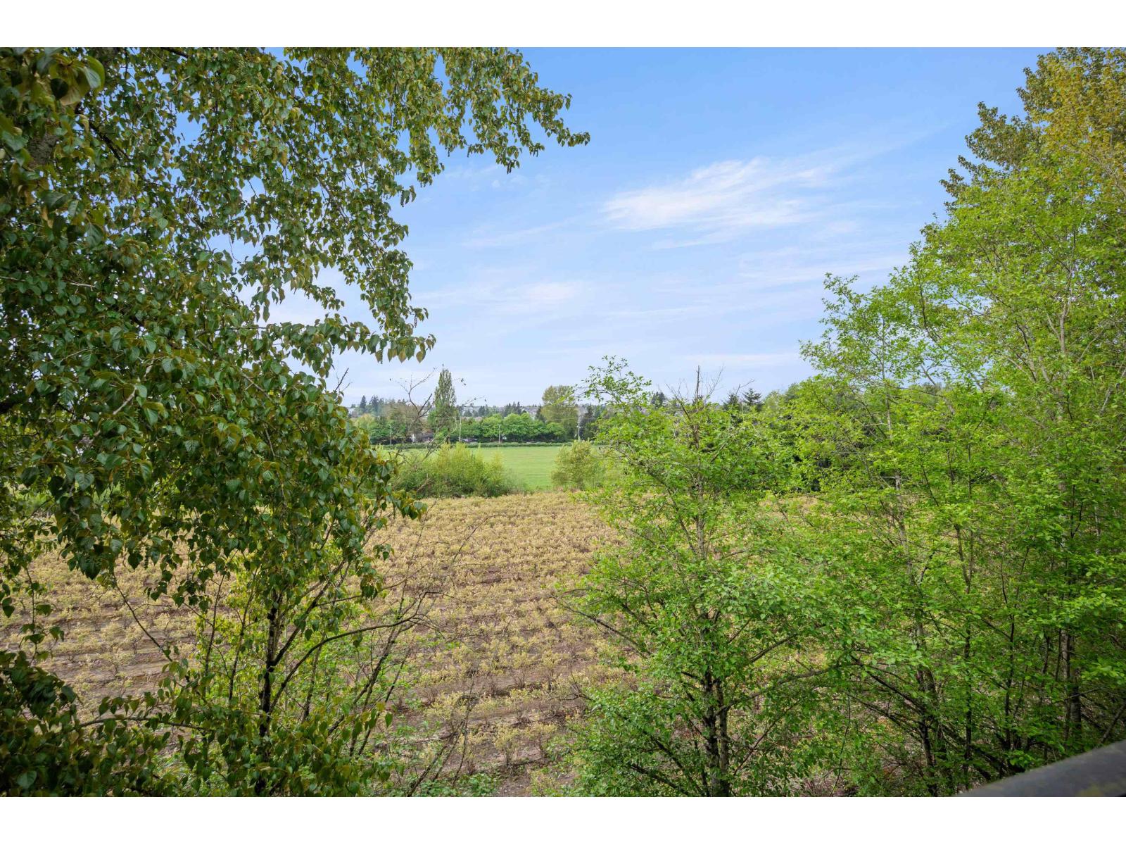 A409 20211 66 Avenue, Langley, British Columbia  V2Y 0L4 - Photo 25 - R3123481