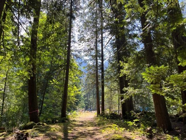18 19743 Foster Road, Hope, Hope, British Columbia  V0X 1L2 - Photo 16 - R3124135