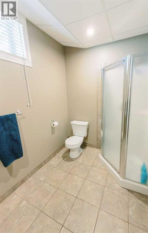 13 Park Ridge Way, Rural Stettler No. 6, Alberta  T0C 2L0 - Photo 31 - A2302246