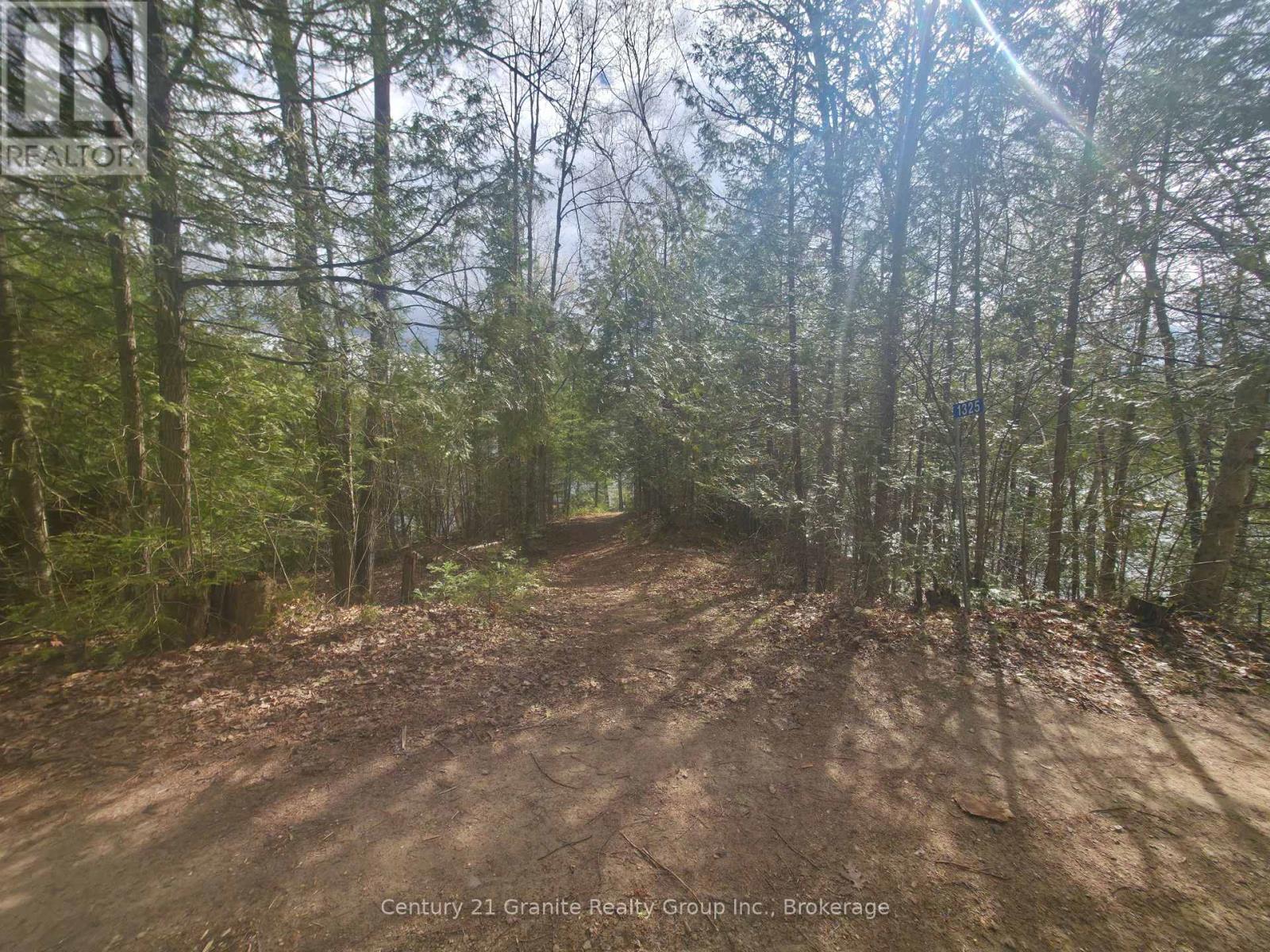1325 Andek Trail, Highlands East, Ontario  K0M 2A0 - Photo 10 - X13135922