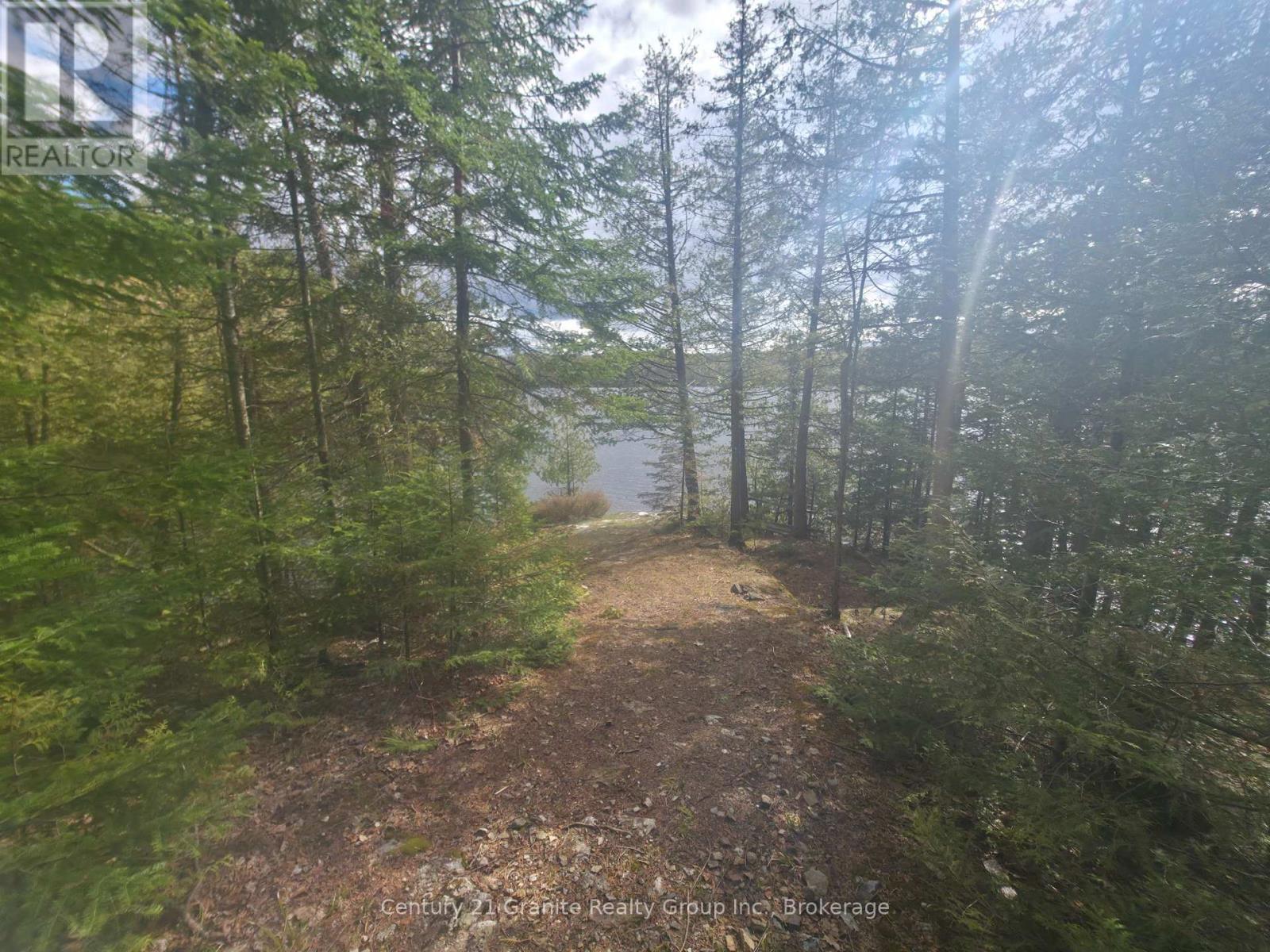 1325 Andek Trail, Highlands East, Ontario  K0M 2A0 - Photo 11 - X13135922