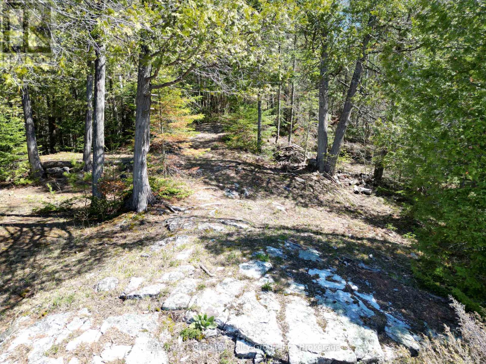 1325 Andek Trail, Highlands East, Ontario  K0M 2A0 - Photo 13 - X13135922