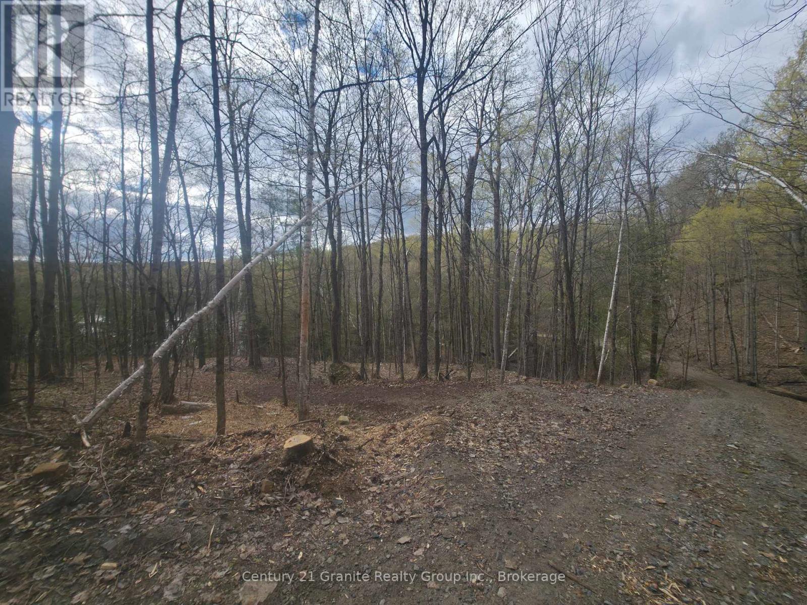 1325 Andek Trail, Highlands East, Ontario  K0M 2A0 - Photo 26 - X13135922