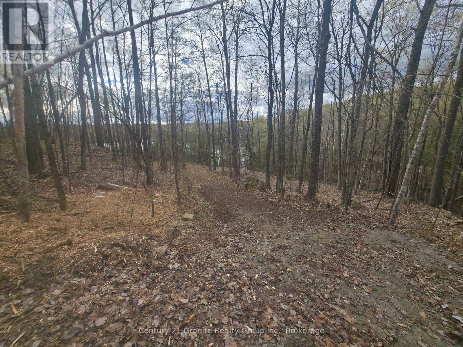 1325 Andek Trail, Highlands East, Ontario  K0M 2A0 - Photo 27 - X13135922