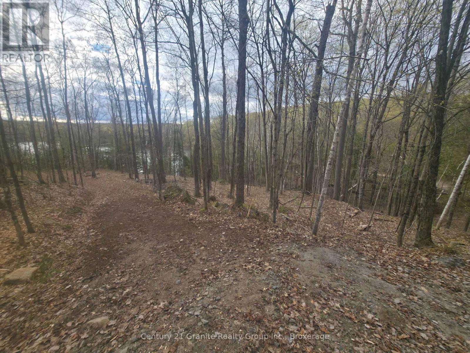 1325 Andek Trail, Highlands East, Ontario  K0M 2A0 - Photo 28 - X13135922