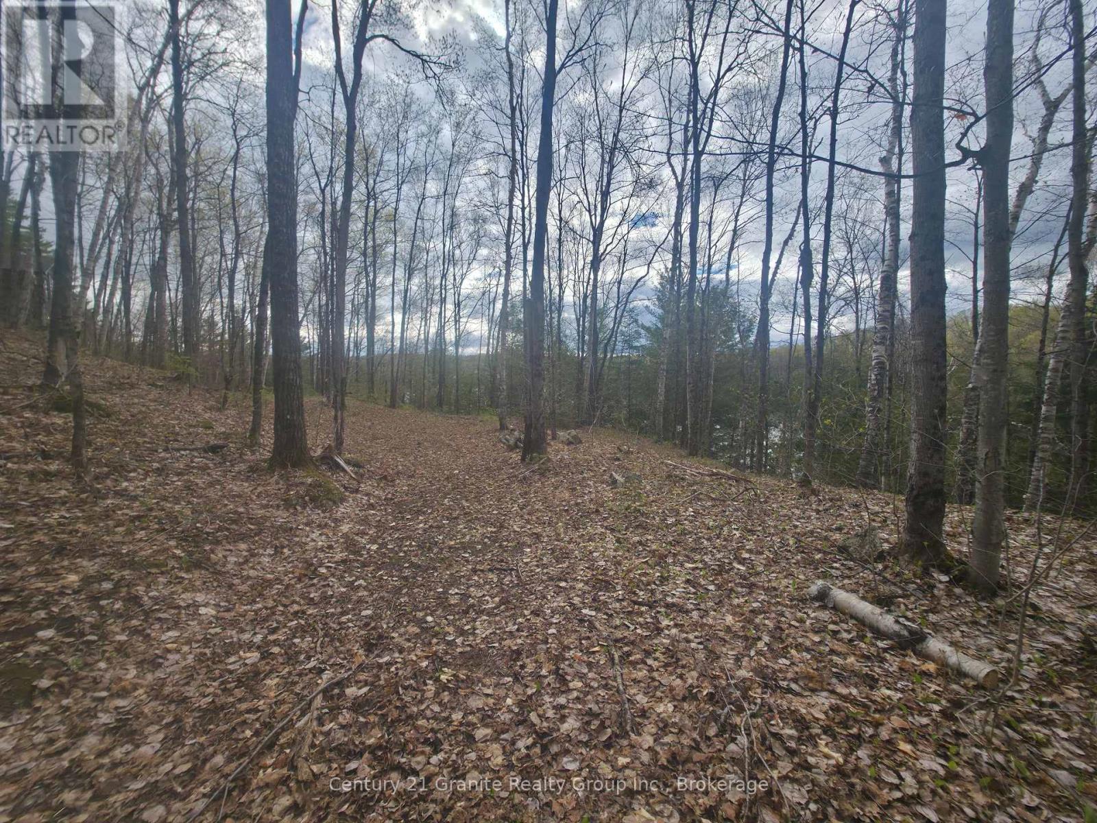 1325 Andek Trail, Highlands East, Ontario  K0M 2A0 - Photo 30 - X13135922