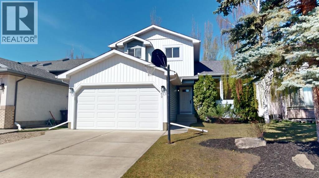 60 Sunmeadows Court Se, Calgary, Alberta  T2X 3H5 - Photo 1 - A2310930