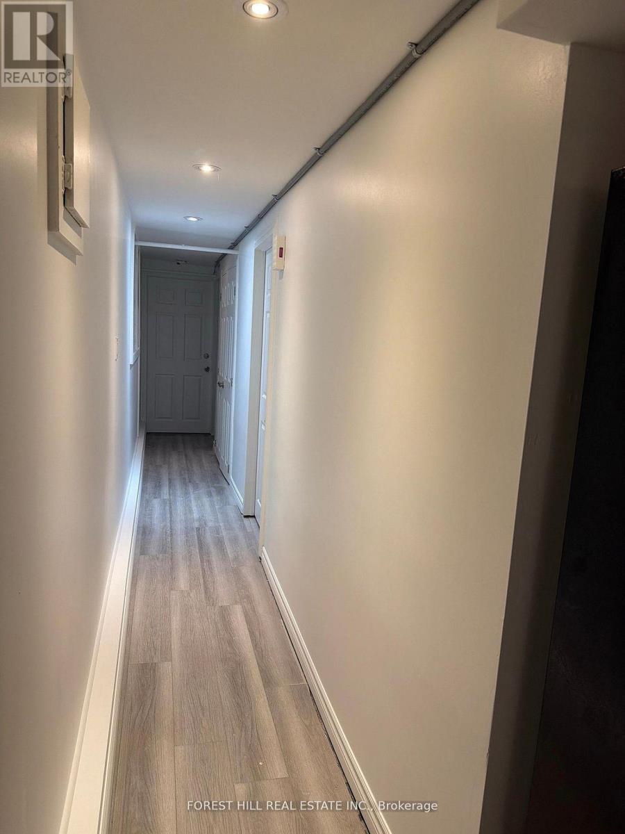 Lower - 67 Brunswick Avenue, Toronto, Ontario  M5S 2L8 - Photo 15 - C13135792