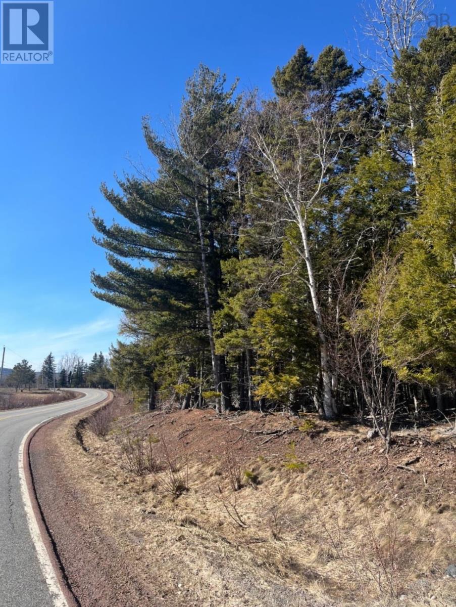 18 Acres Highway 256, West Branch, Nova Scotia  B0K 1R0 - Photo 1 - 202601386