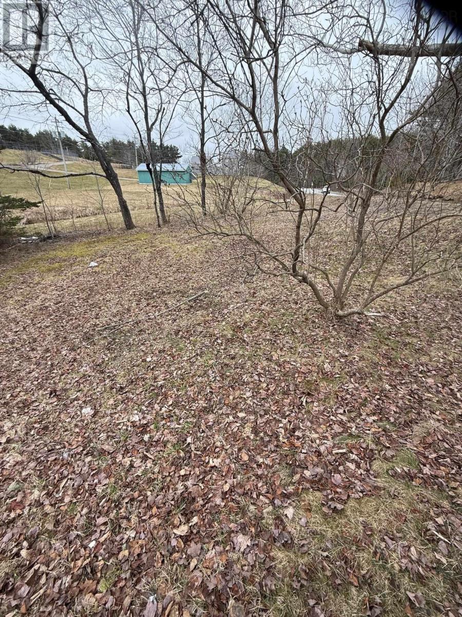 432 Aberdeen Road, Bridgewater, Nova Scotia  B4V 2T2 - Photo 28 - 202607221