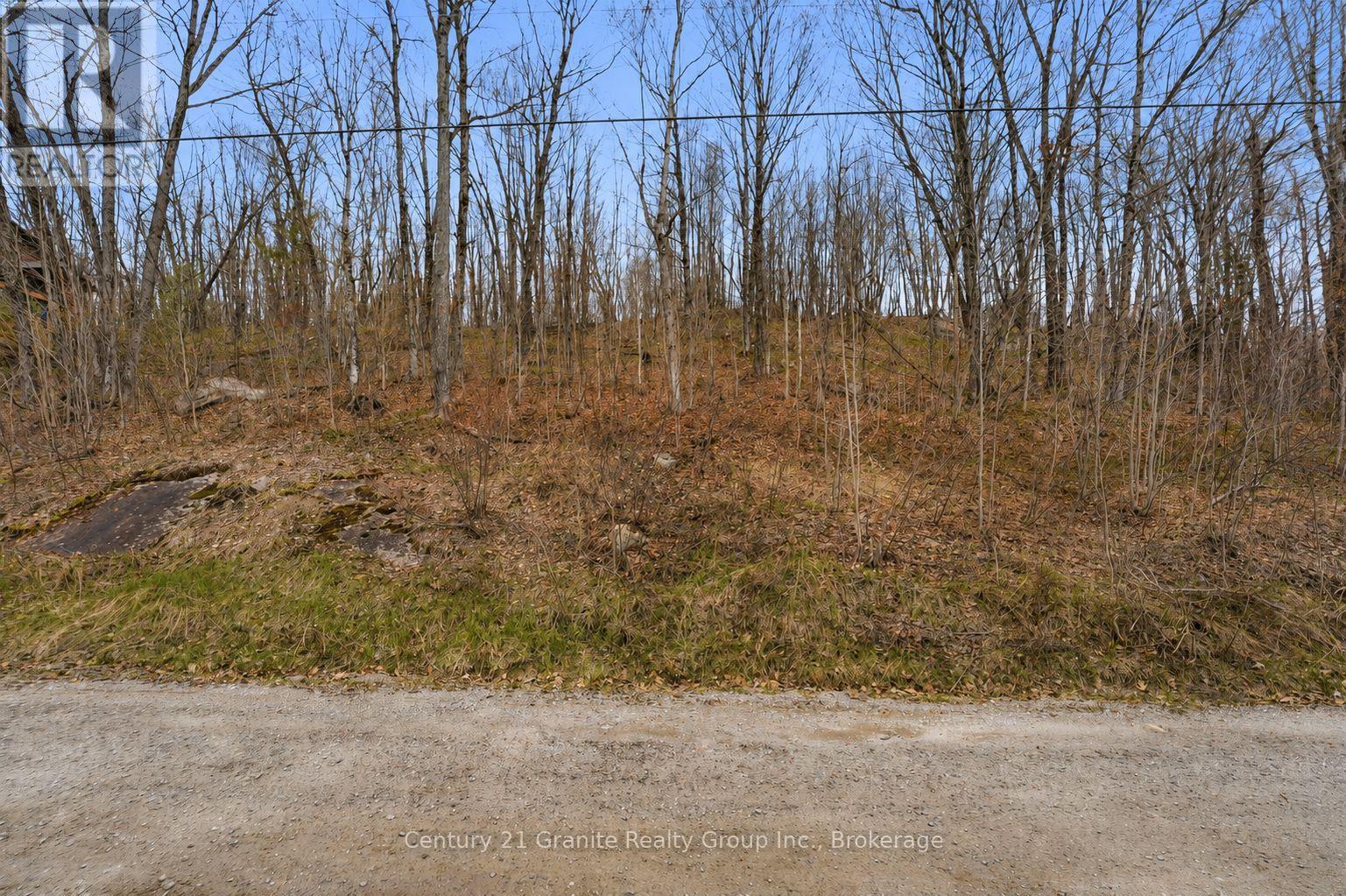 Pt Lt 6 Brady Lake Road, Minden Hills, Ontario  K0M 2K0 - Photo 3 - X13135692
