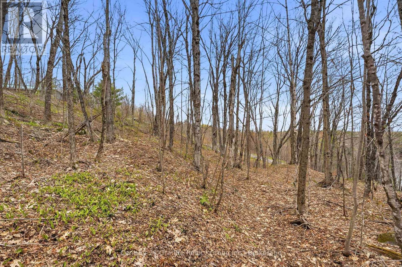 Pt Lt 6 Brady Lake Road, Minden Hills, Ontario  K0M 2K0 - Photo 6 - X13135692