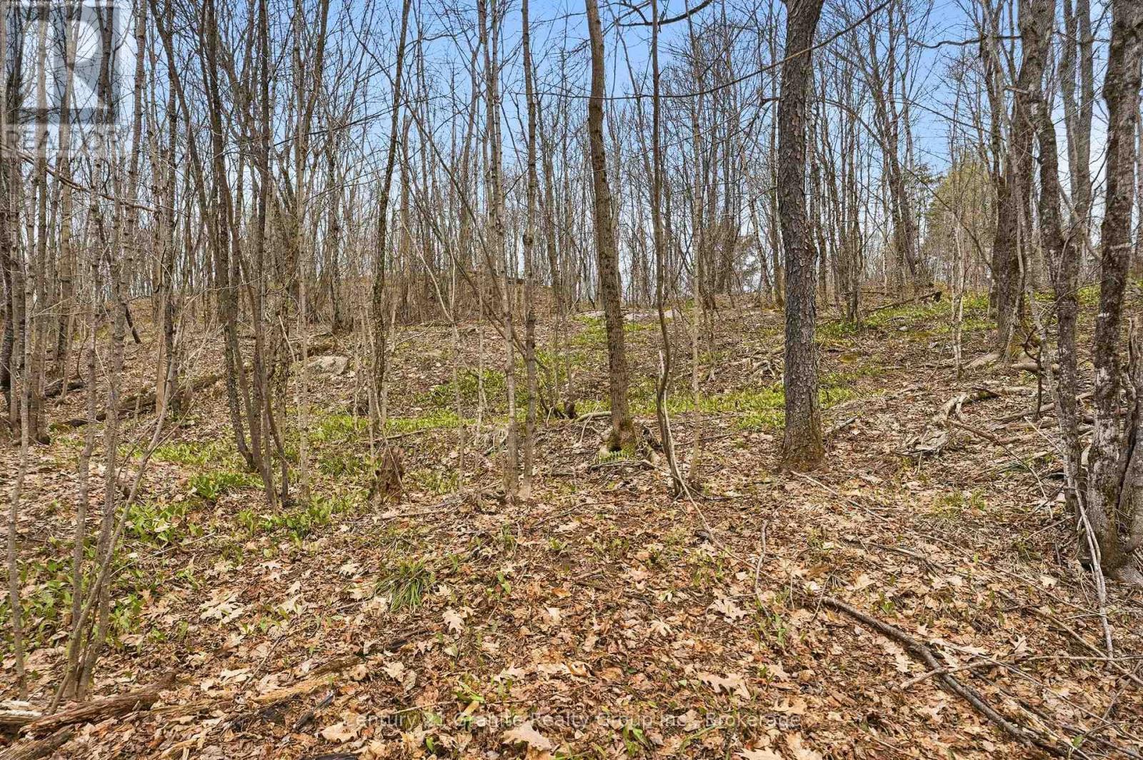 Pt Lt 6 Brady Lake Road, Minden Hills, Ontario  K0M 2K0 - Photo 5 - X13135692