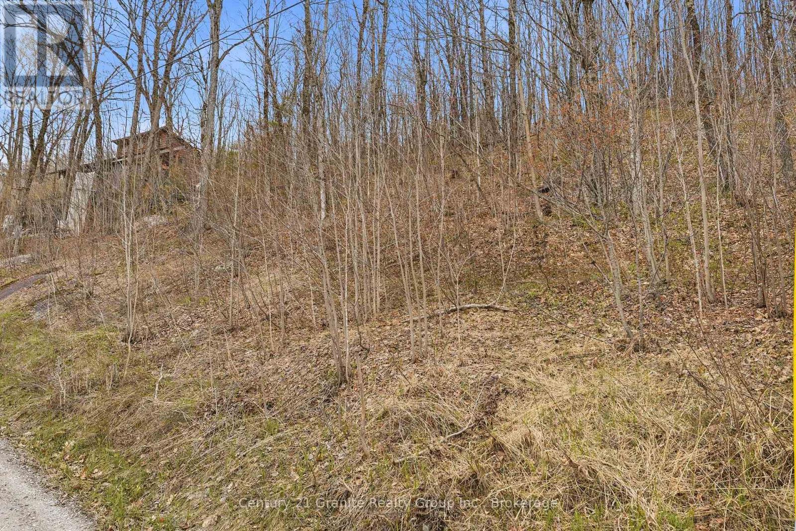 Pt Lt 6 Brady Lake Road, Minden Hills, Ontario  K0M 2K0 - Photo 4 - X13135692