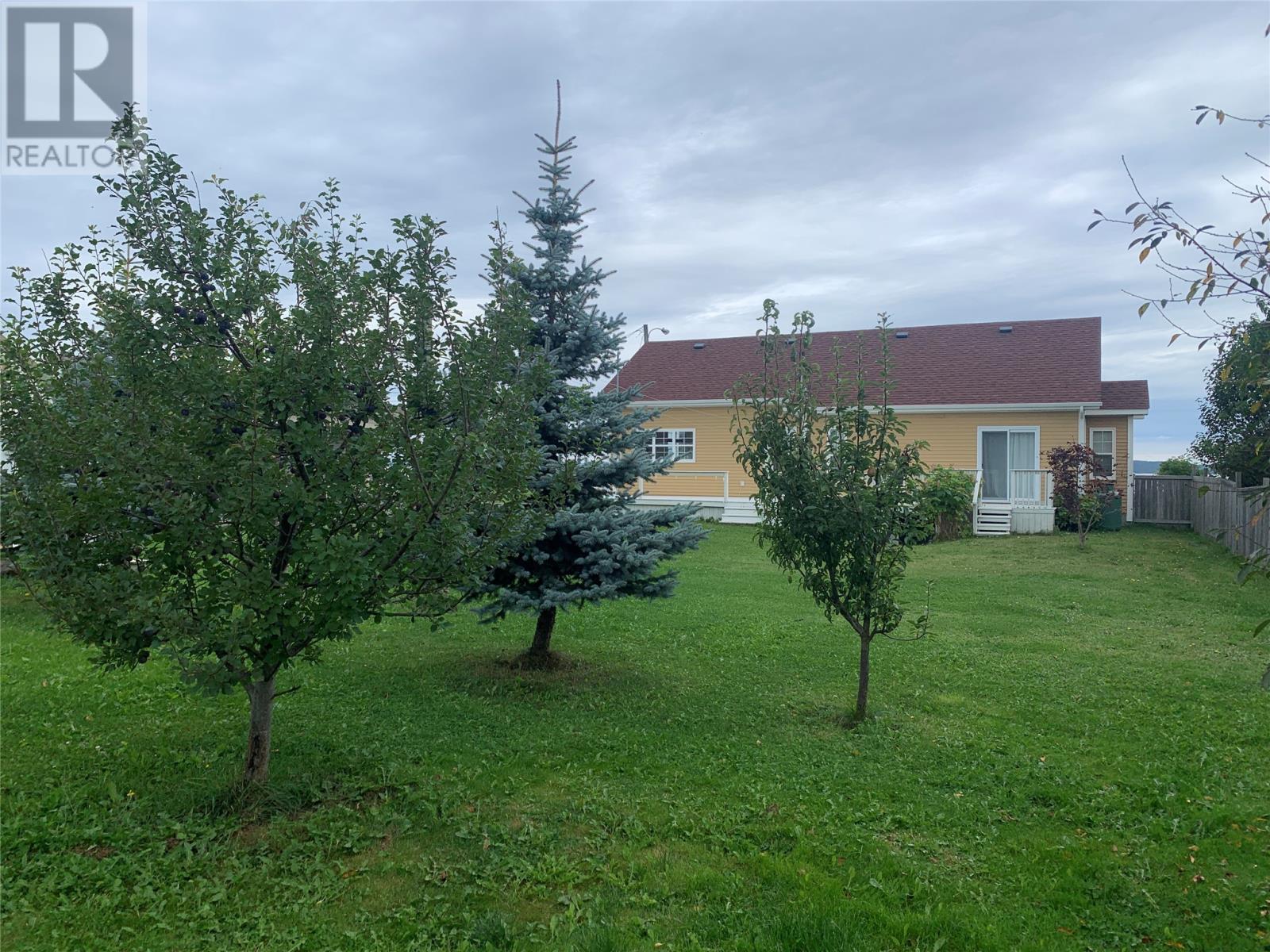 Photo 35