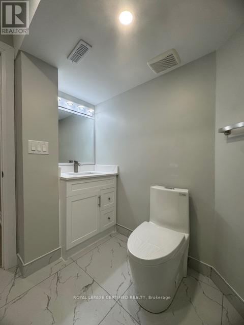 Basement - 4468 Ashley Avenue, Mississauga, Ontario  L5R 2A2 - Photo 13 - W13136144