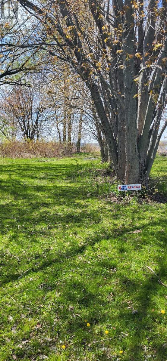 1242 County Road 12, Prince Edward County, Ontario  K0K 2T0 - Photo 33 - X13135224