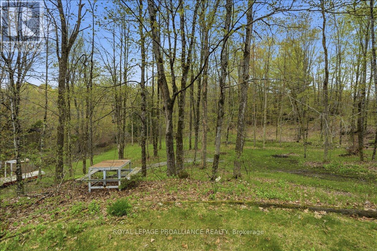 606 Black River Road, Tweed, Ontario  K0K 3J0 - Photo 29 - X13136168