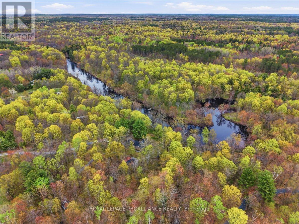 606 Black River Road, Tweed, Ontario  K0K 3J0 - Photo 41 - X13136168