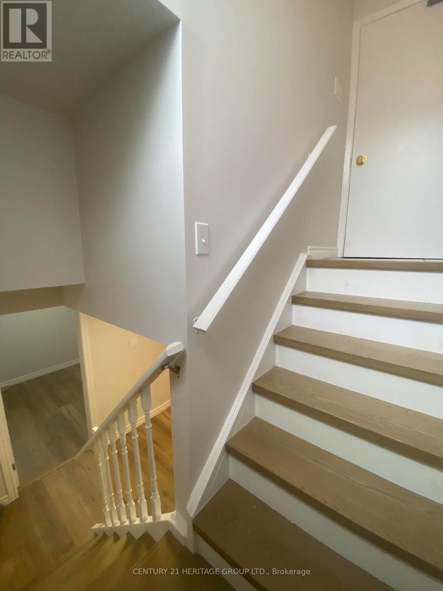 Lower - 14 Regatta Crescent, Toronto, Ontario  M2R 2X8 - Photo 7 - C13136346