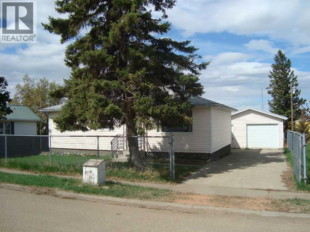 107 2nd Avenue N, Torrington, Alberta  T0M 2B0 - Photo 3 - A2292253