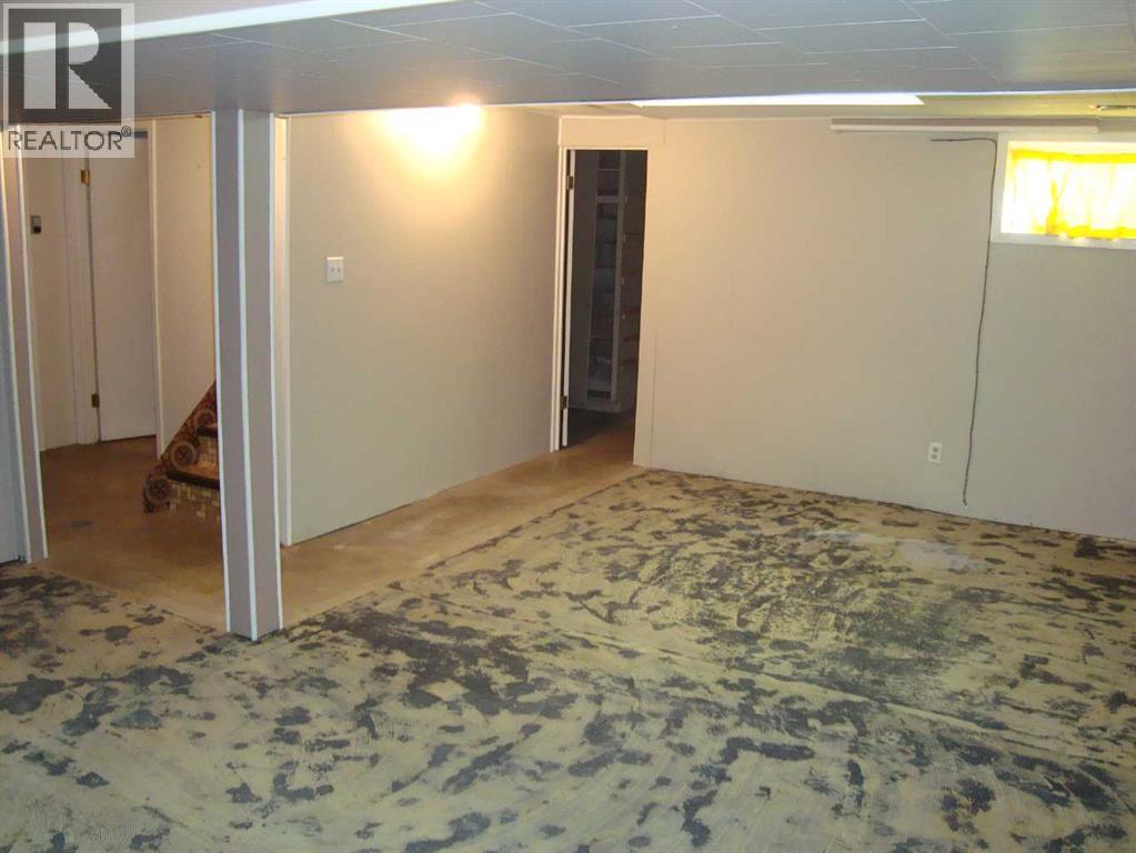 107 2nd Avenue N, Torrington, Alberta  T0M 2B0 - Photo 29 - A2292253