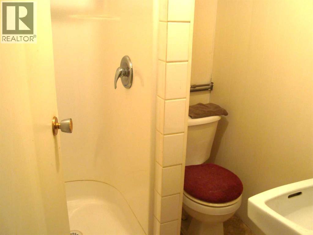 107 2nd Avenue N, Torrington, Alberta  T0M 2B0 - Photo 32 - A2292253