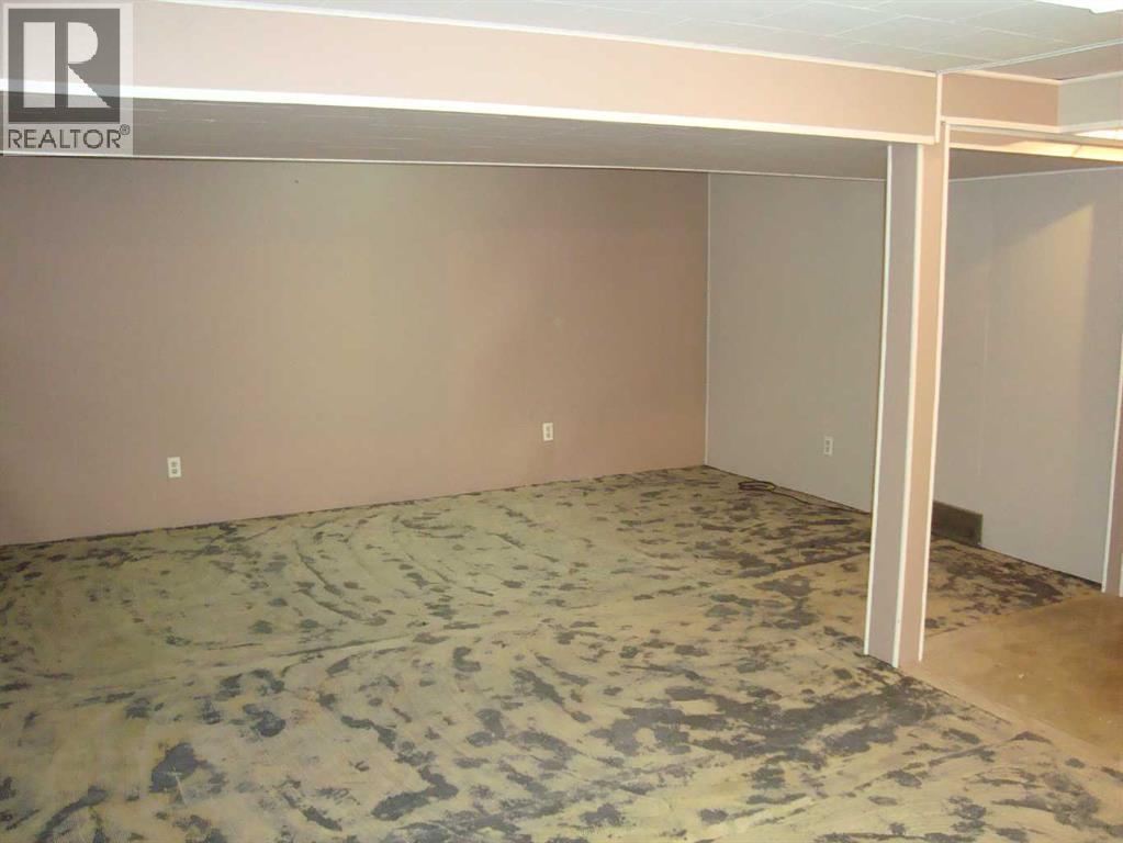 107 2nd Avenue N, Torrington, Alberta  T0M 2B0 - Photo 28 - A2292253