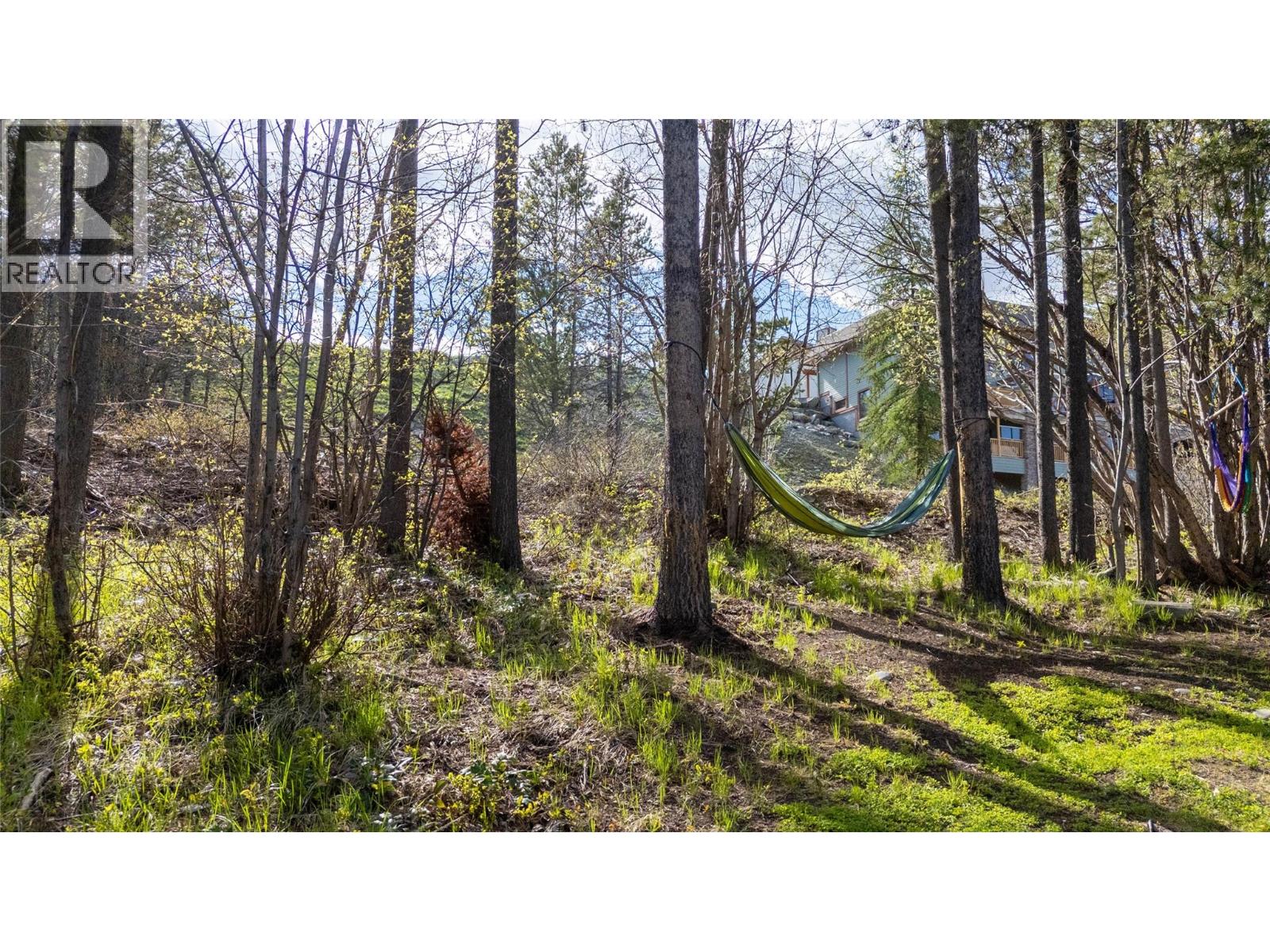 984 Dewdney Way, Kimberley, British Columbia V1A 3E9 - Photo 44 - 10387662