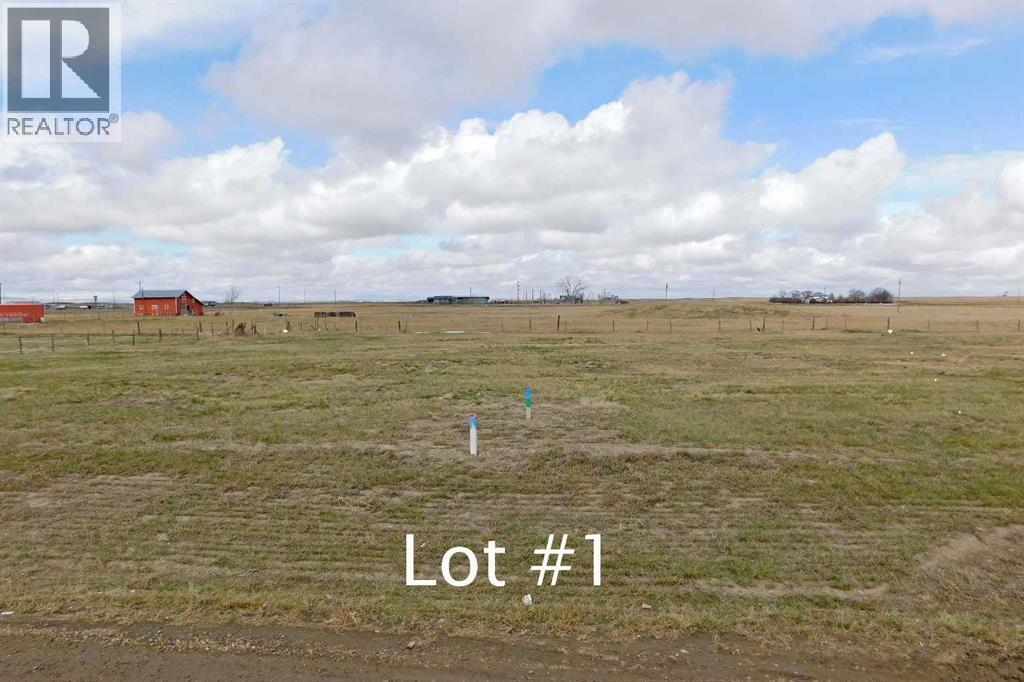 117 Argyle Street, Granum, Alberta  T0L 1A0 - Photo 1 - A2214193