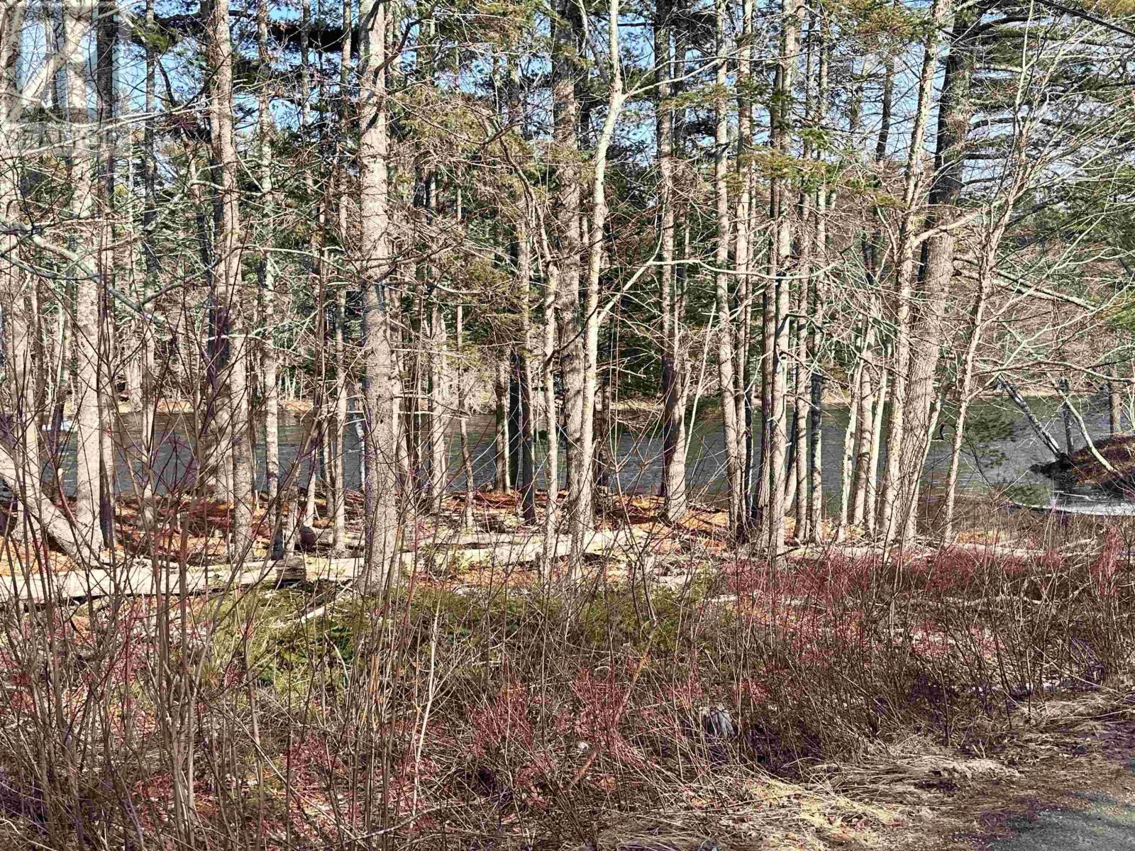 151 Medway River Road, Mill Village, Nova Scotia  B0J 2H0 - Photo 27 - 202604860