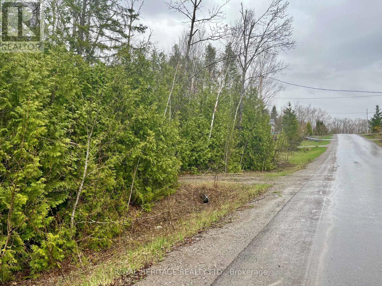 0 Sumcot Drive, Trent Lakes, Ontario  K0L 1J0 - Photo 2 - X13136638