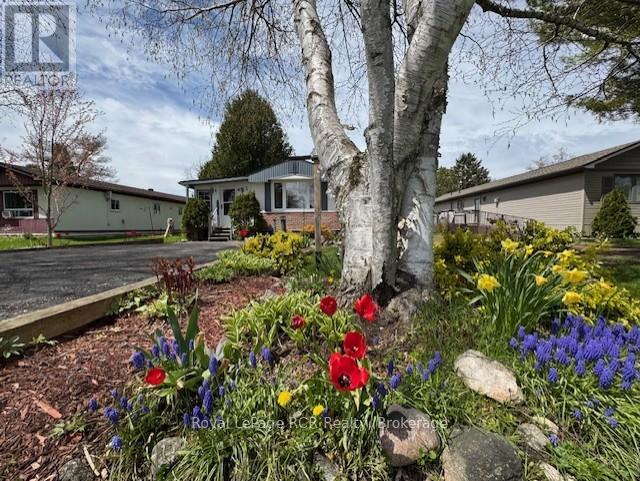 Unit #3 - 302694 Douglas Street, West Grey, Ontario  N0G 1R0 - Photo 36 - X12716852