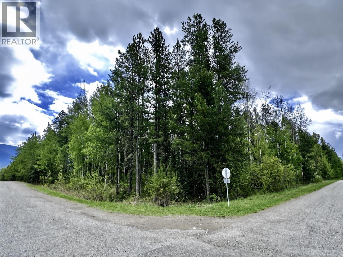 Lot 10 17th Avenue, Valemount, British Columbia  V0E 2Z0 - Photo 2 - R3124368