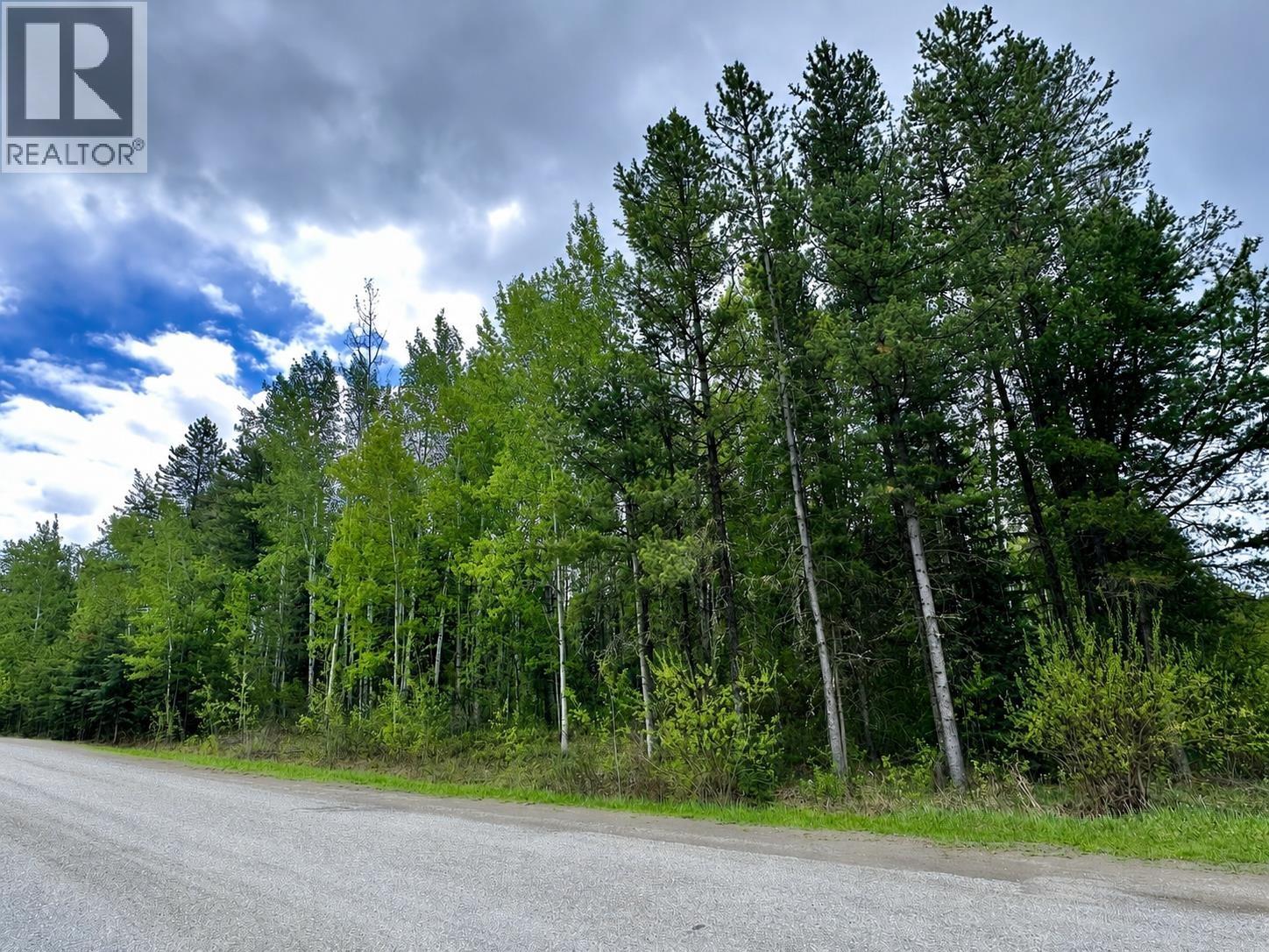 Lot 10 17th Avenue, Valemount, British Columbia  V0E 2Z0 - Photo 4 - R3124368