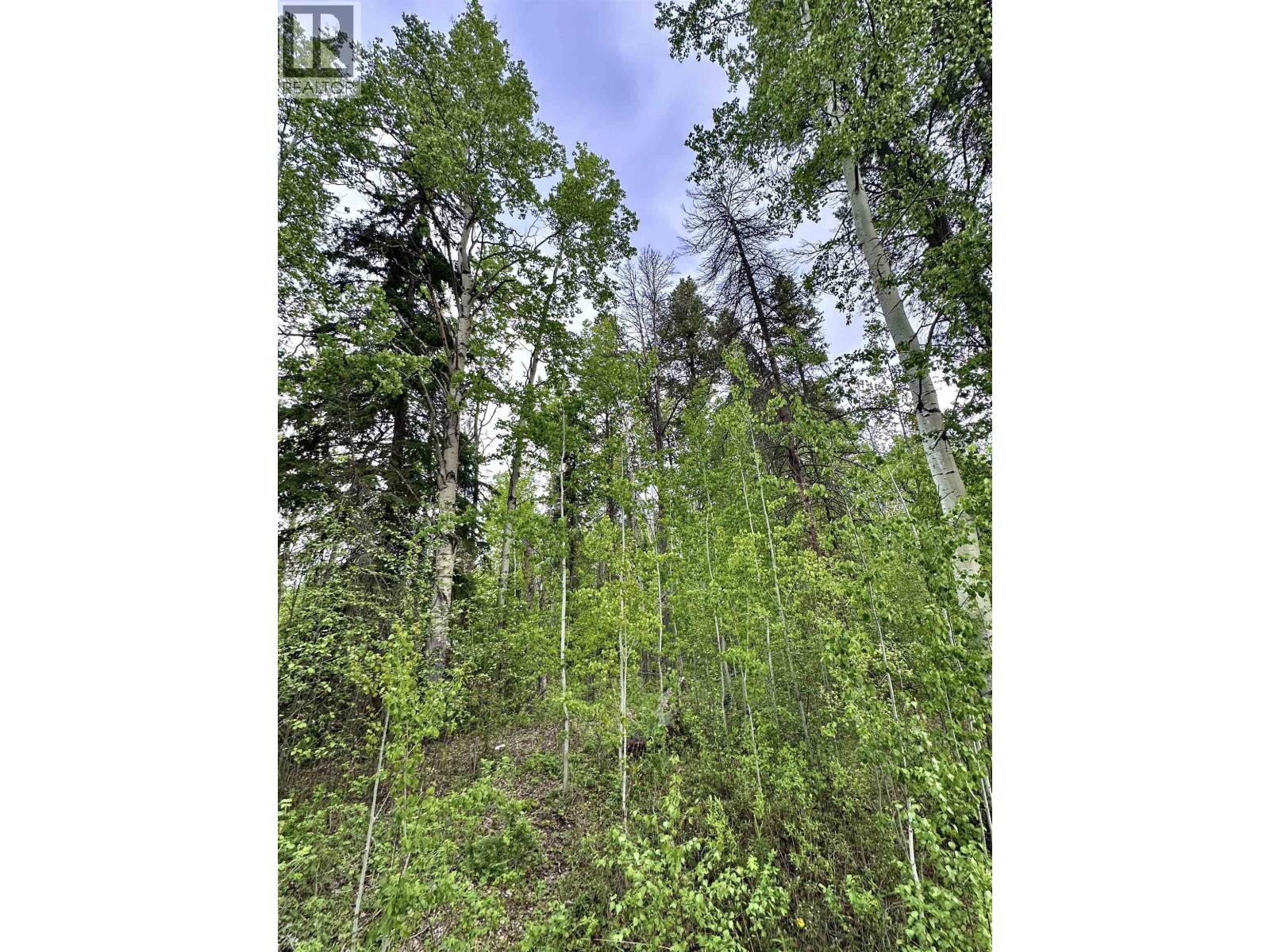 Lot 10 17th Avenue, Valemount, British Columbia  V0E 2Z0 - Photo 5 - R3124368