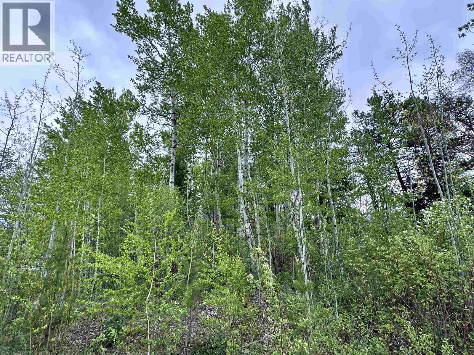 Lot 10 17th Avenue, Valemount, British Columbia  V0E 2Z0 - Photo 6 - R3124368