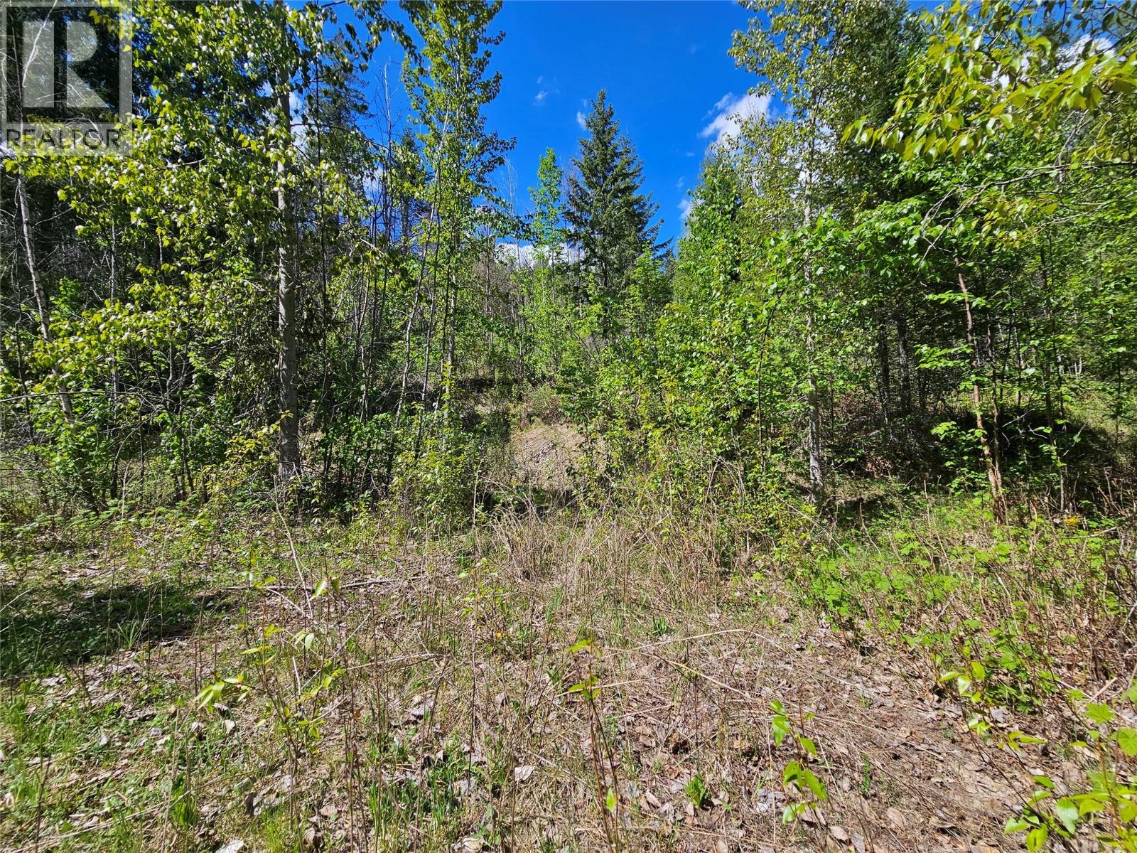 4402 Leopold Road, Scotch Creek, British Columbia  V0E 1M5 - Photo 23 - 10387585