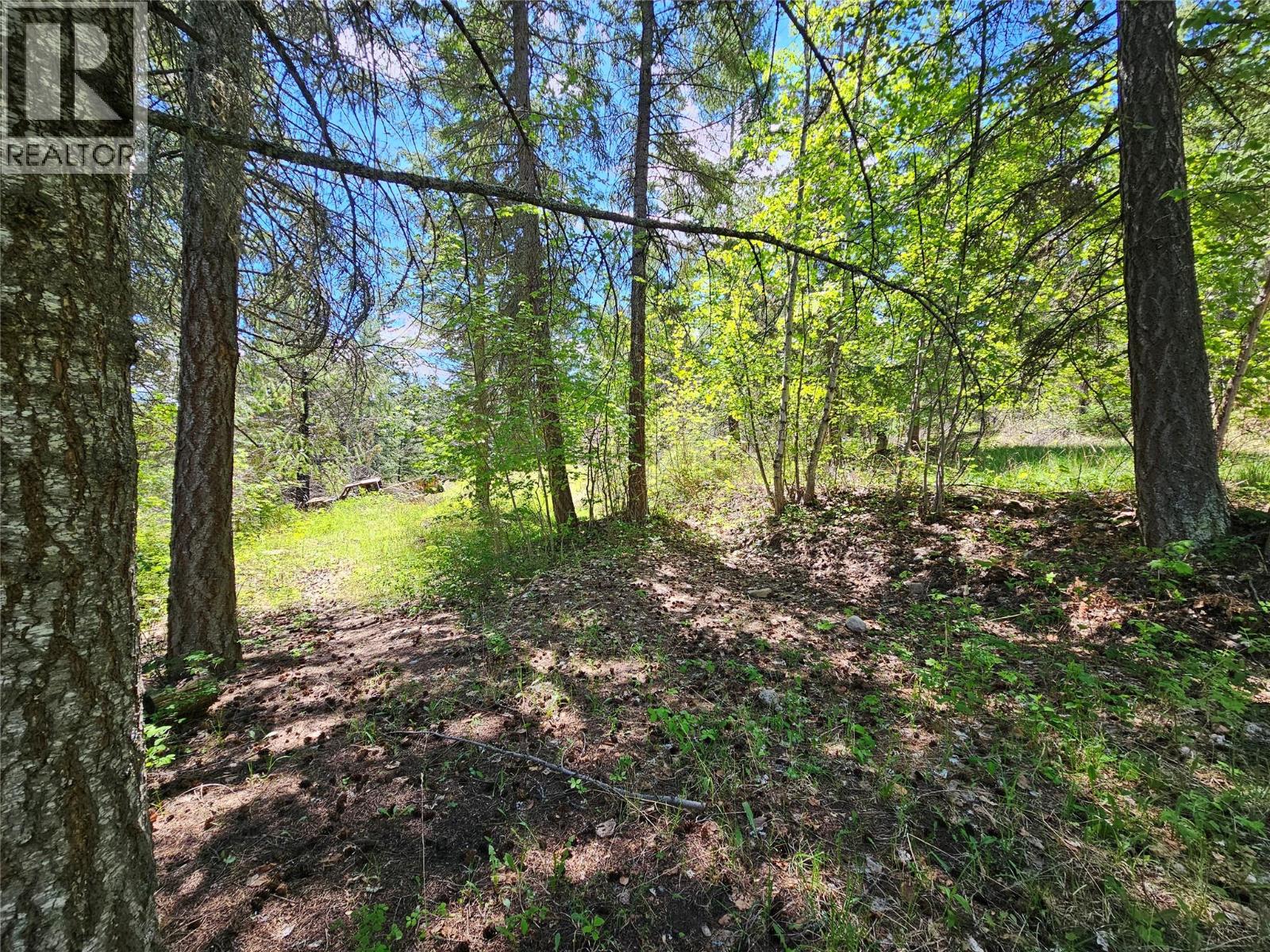 4402 Leopold Road, Scotch Creek, British Columbia  V0E 1M5 - Photo 16 - 10387585