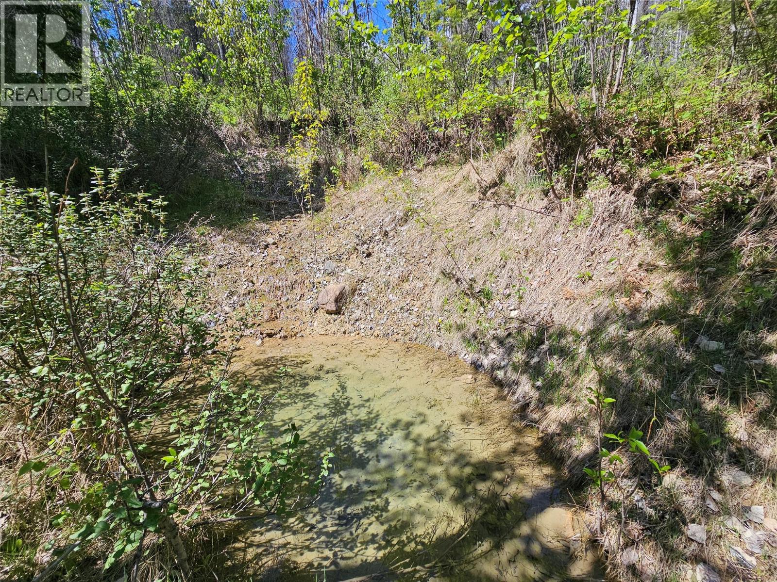 4402 Leopold Road, Scotch Creek, British Columbia  V0E 1M5 - Photo 24 - 10387585