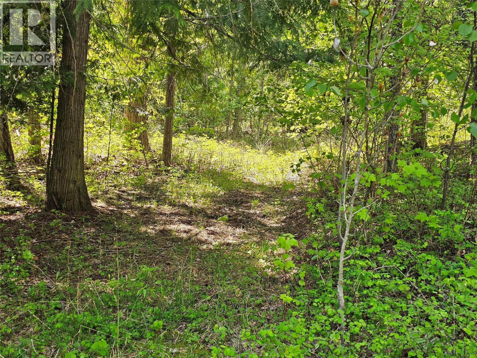 4402 Leopold Road, Scotch Creek, British Columbia  V0E 1M5 - Photo 33 - 10387585